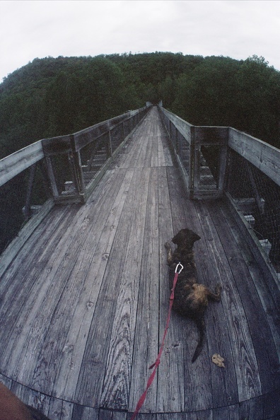 Fall in the Big South Fork